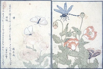 『画本　虫撰　上・下巻』　喜多川歌麿／画　 1787（天明7）年　東京都江戸東京博物館蔵